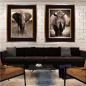 Buy SAFARI COLLECTION Online