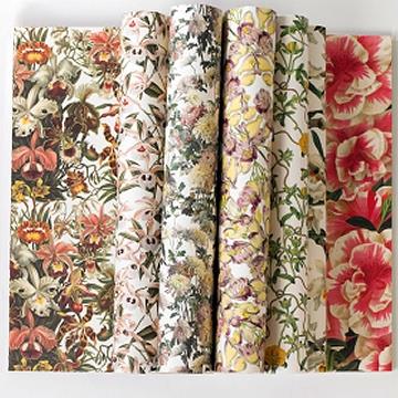 Buy THE PEPIN PRESS Online